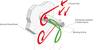 Calculation Tool