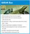 Bus Technology - Varan