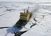 Split roller bearings chosen