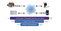 Software Solution