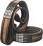 Predator V-belt