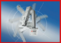 Robotics & Material Handling