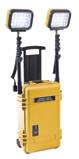 Remote Area Lighting System