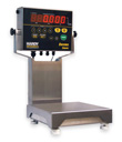 Sanitary Checkweigher Scales