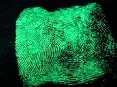 21st Century Fingerprint Detection