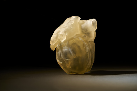 3D printed heart model produced on the new J750 Digital Anatomy 3D Printer - replicating the feel, responsiveness, and biomechanics of human anatomy