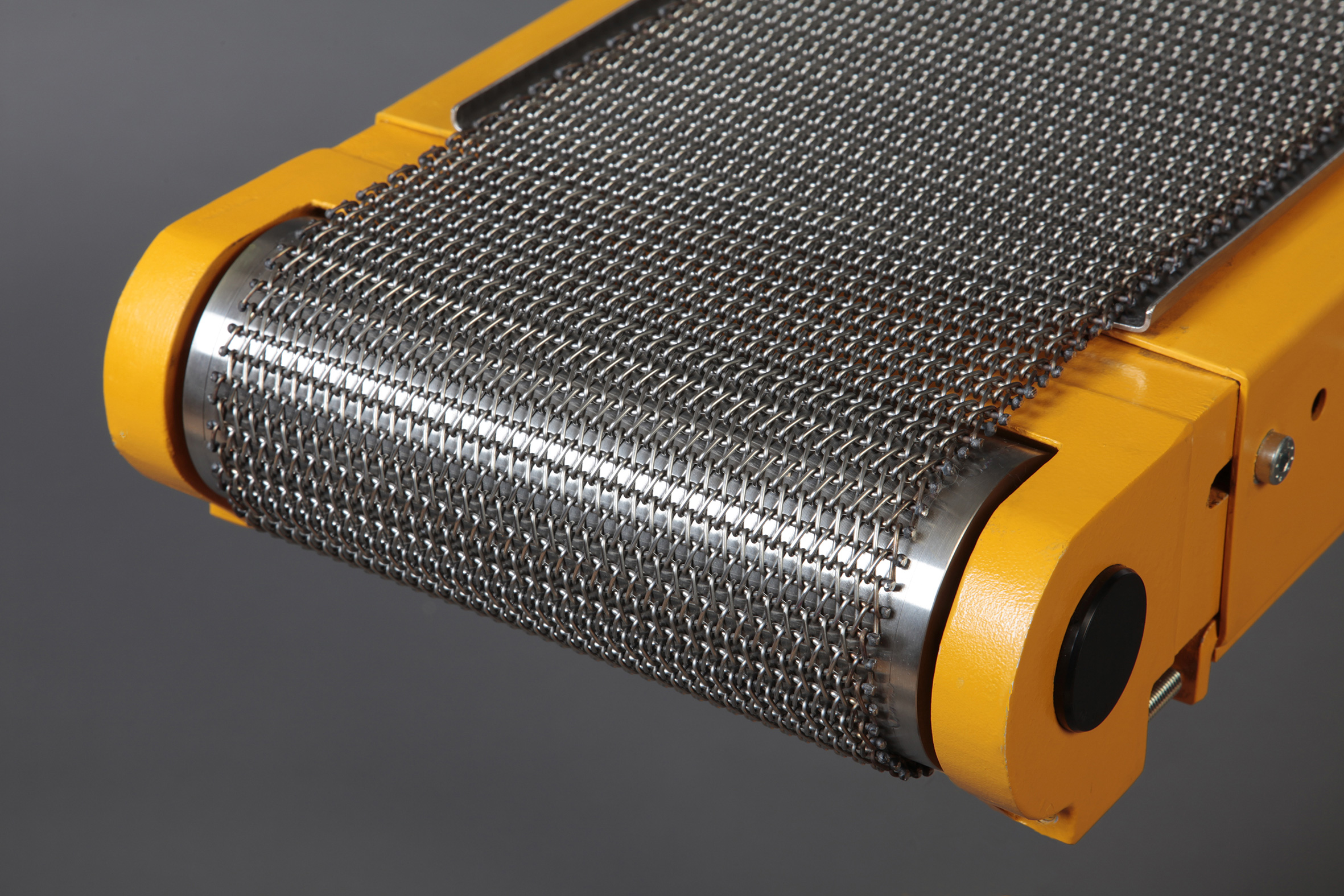 Stainless Steel Conveyor