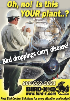 Pest bird control solutions