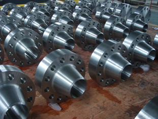 Forged Steel Flanges